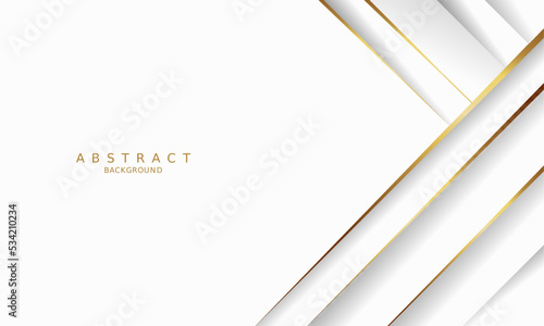 white luxury premium background and gold line.