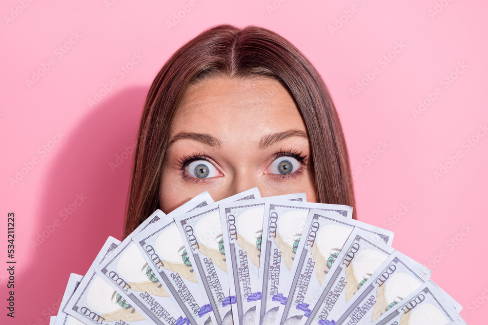 Portrait of impressed lady dollar banknotes bills cover face eyes peeking isolated on pink color background