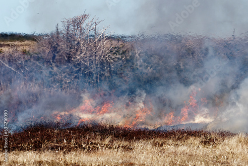 A grass fire, fueled by dry conditions, producing flames, smoke and showing turbulent structures and fluxes associated the intense fire.