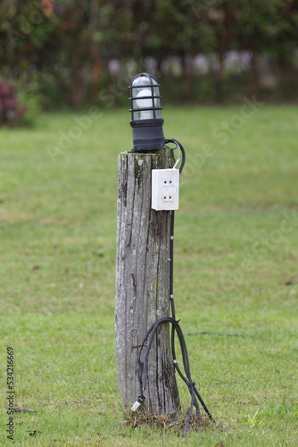 a lamp on a tree stump, a power socket on a tree stump