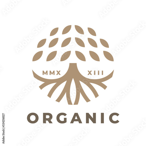 Organic tree logo mark design. Tree of life symbol. Leaf and root nature icon. Botanical wellness spa sign. Luxury floral boutique plant emblem. Vector illustration.