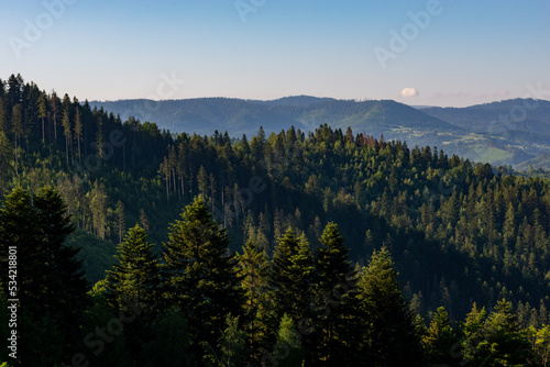 Góry, wzgórza, doliny, łąki i lasy w Beskidzie, krajobraz (4).