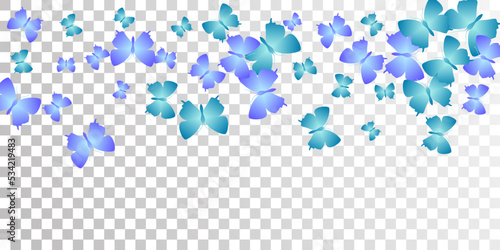 Tropical blue butterflies cartoon vector wallpaper. Summer little moths. Detailed butterflies cartoon dreamy background. Gentle wings insects patten. Nature creatures.