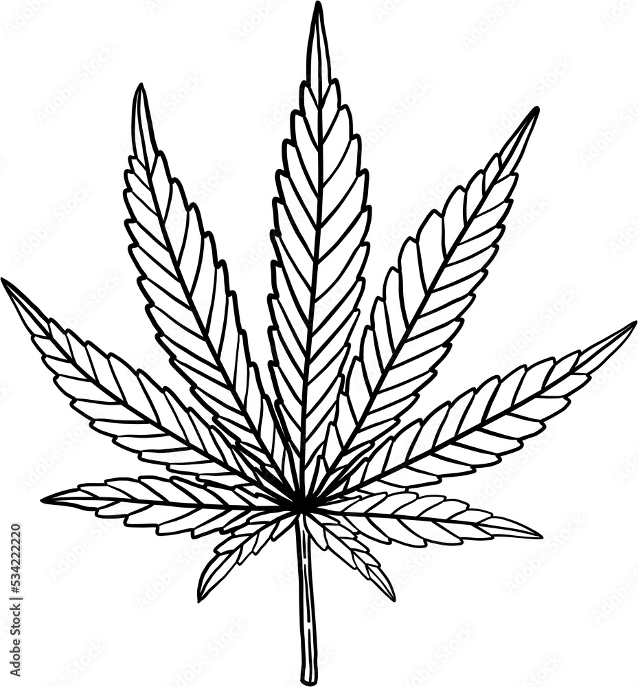 simplicity cannabis leaf freehand drawing flat design. simplicity cannabis leaf freehand drawing flat design.