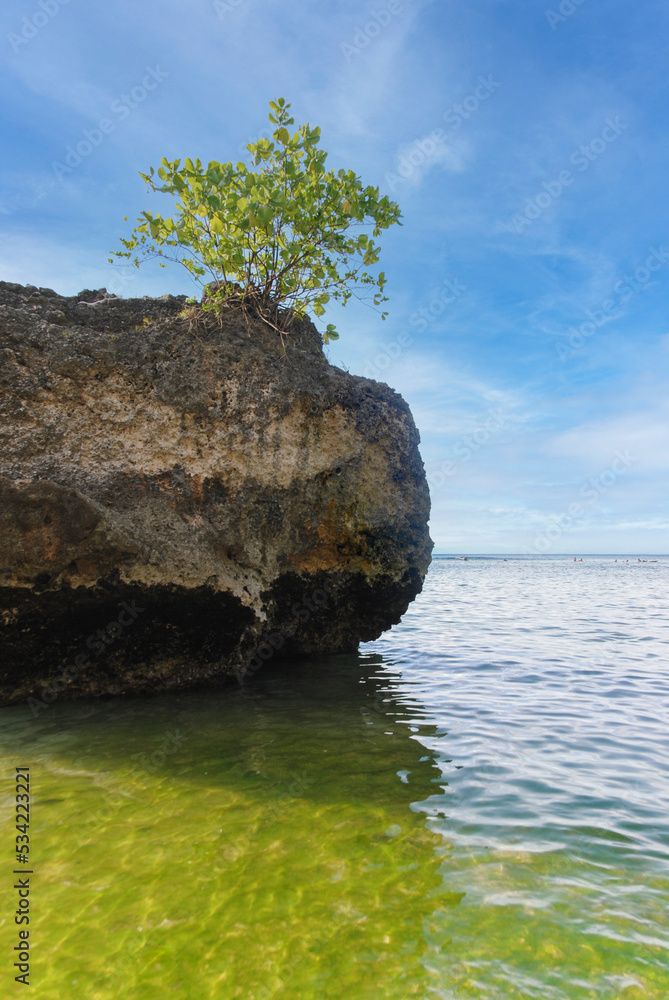 A large rock on the shore on a sunny day in Padang Padang Beach, Bali, Indonesia
