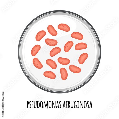 The human microbiome of pseudomonas aeruginosa in a petri dish. Vector image. Bifidobacteria, lactobacilli. Lactic acid bacteria. Illustration in a flat style.