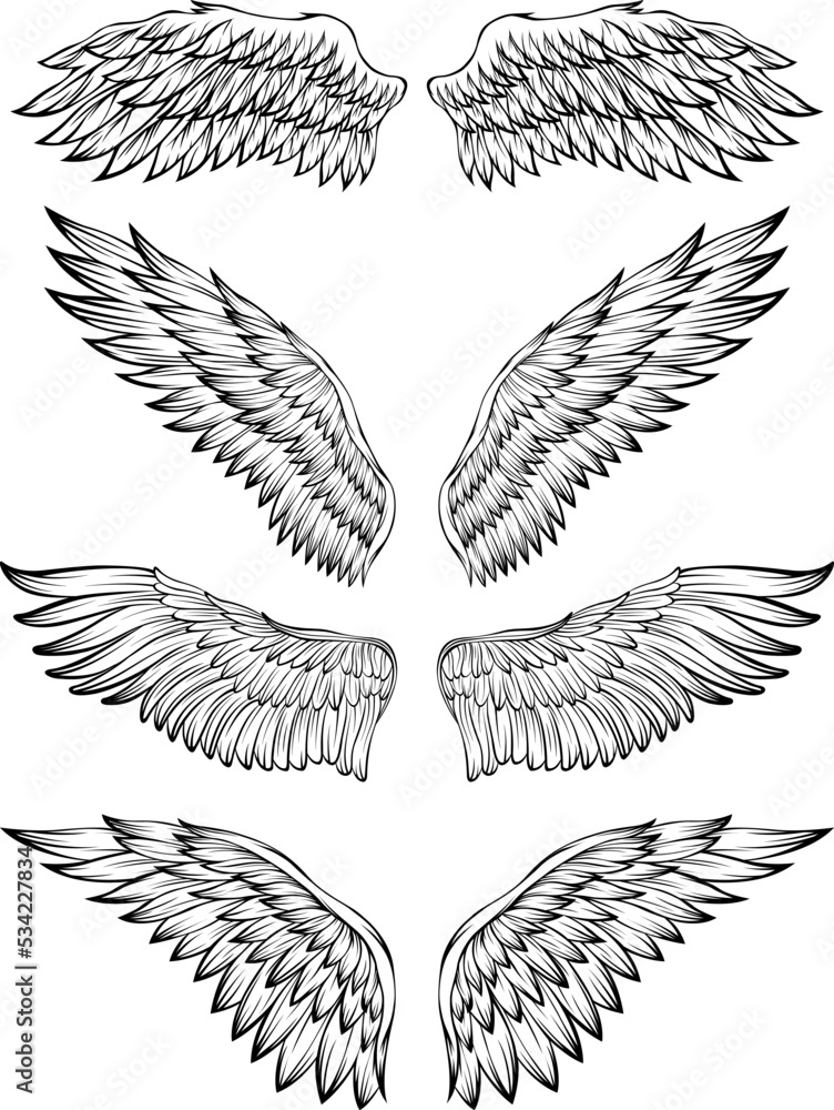 Fototapeta premium Bird wings vector illustration tattoo style. Hand drawn design element.