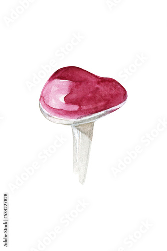 Russula. Edible forest mushroom. Watercolor illustration isolated on white background.