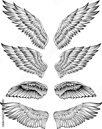 Bird wings vector illustration tattoo style. Hand drawn design element.