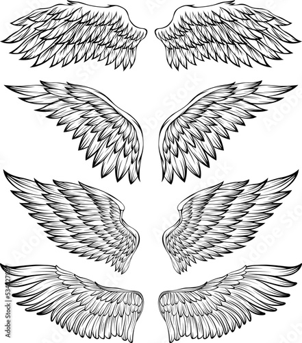 Bird wings vector illustration tattoo style. Hand drawn design element.