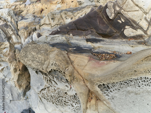 Tafoni Rock and cavernous weathering at coastline  Bean Hollow, California