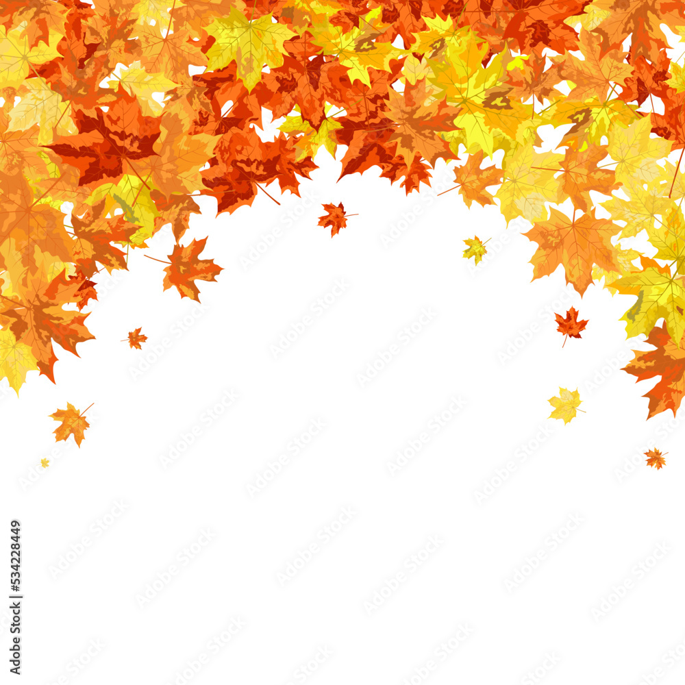 Autumn Maple Frame Autumn Maple Frame