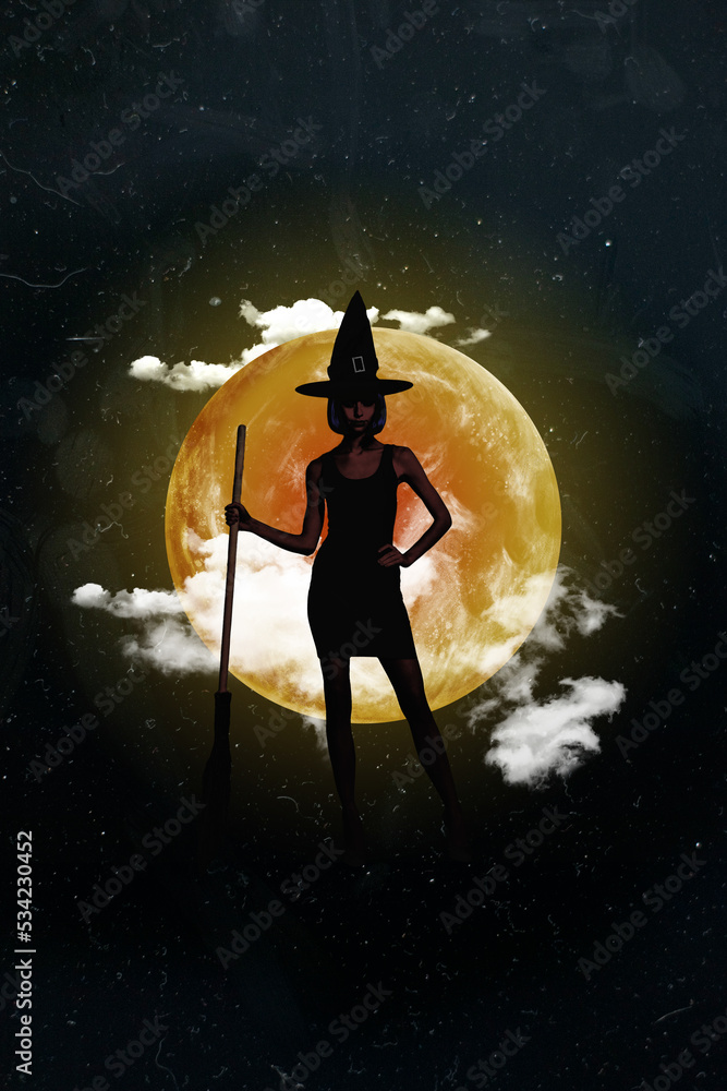 Vertical collage picture of mysterious conjurer girl wear cone hat hold broom isolated on moonlight dark background