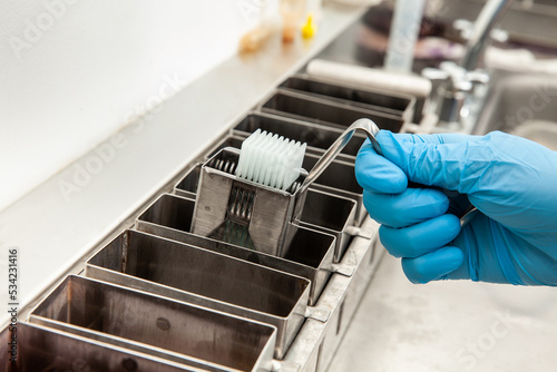 Scientist dewaxing paraffin embedded tissue samples in the laboratory. Xylene-based removal of paraffin.