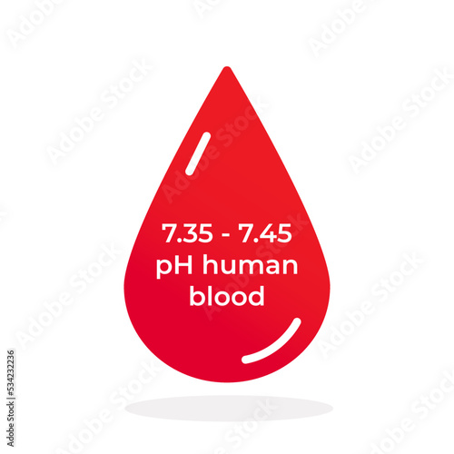 Vector ph human blood level icon isolated on white. Normal pH balance 