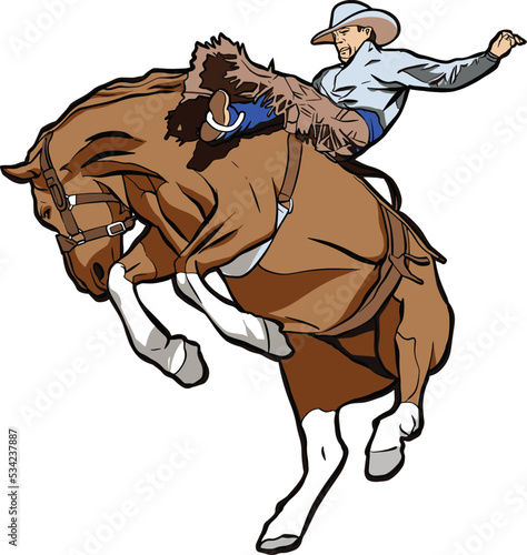 western rodeo riding horse 