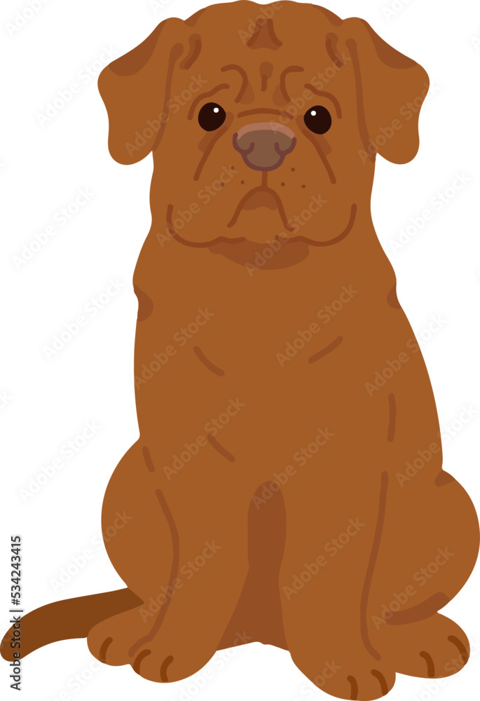 Fototapeta premium Simple and adorable French Mastiff illustration sitting in front view flat colored