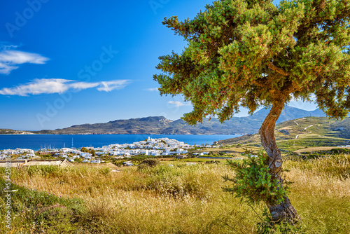 Beautiful view of whitewashed Greek town by sea bay on sunny day with