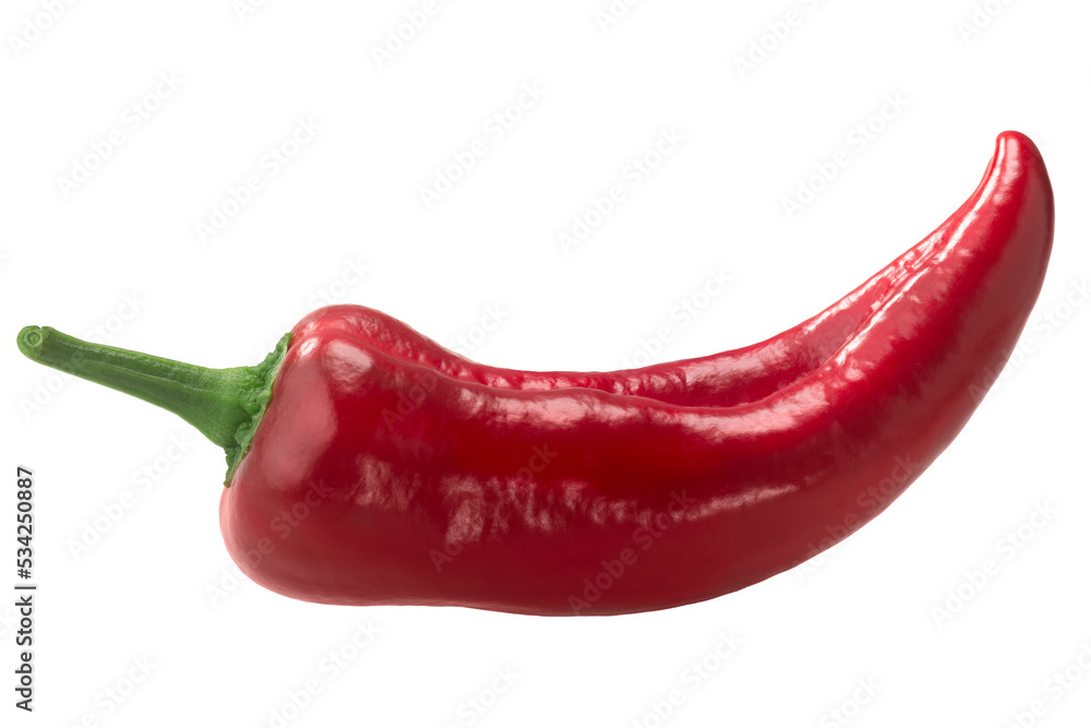 Paprika chile pepper isolated, whole pod. Capsicum annuum fruit Paprika chile pepper isolated, whole pod. Capsicum annuum fruit