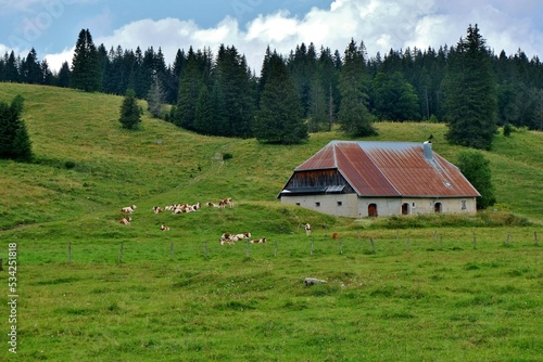 Ferme dans le Jura.