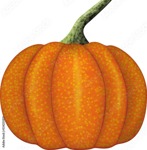 Vegetable pumpkin