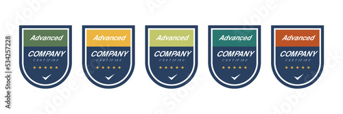 Shield Certified Logo Badge Design. Certification for professional advanced template.
