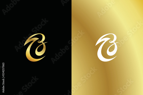 Stylish BN or BN Letter Logo