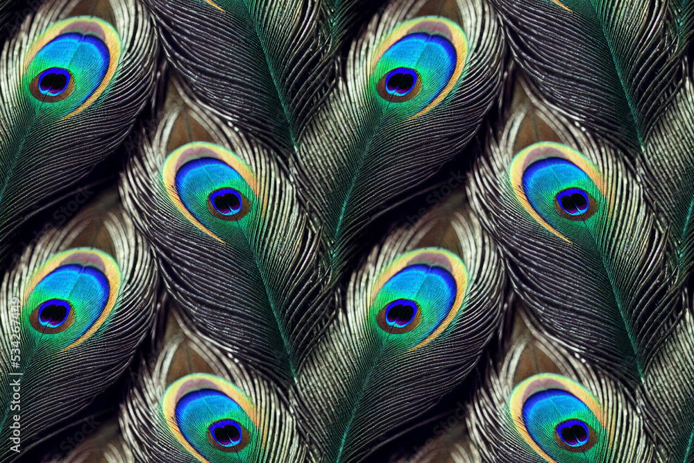 Fototapeta premium Seamless pattern illustration. The colorful peacock feather pattern.