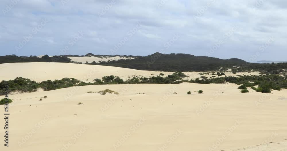 Right to left pan of Little Sahara which is a naturally occurring inland Dune-field near the coastline of Kangaroo Island, It is around 2.5 square kilometres large, South Australia, Australia Right to left pan of Little Sahara which is a naturally occurring inland Dune-field near the coastline of Kangaroo Island, It is around 2.5 square kilometres large, South Australia, Australia