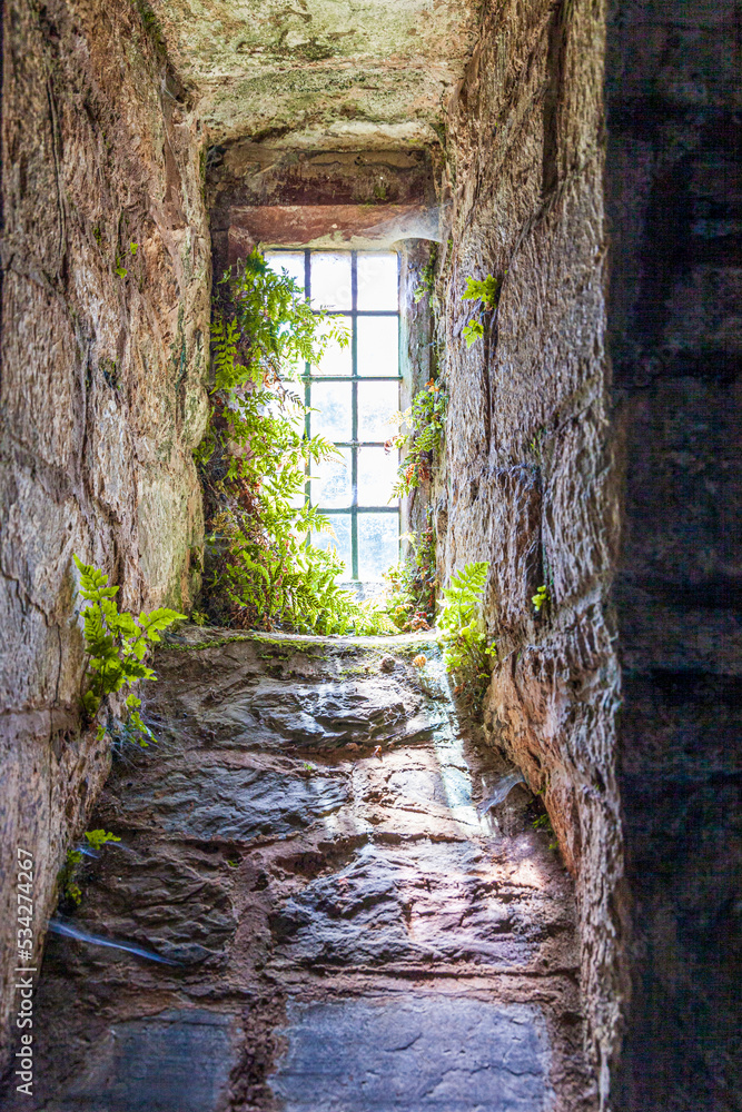 Ferns and cobwebs in a small window in the tiny, remote church at Stoke Pero in Exmoor National Park, Somerset UK Ferns and cobwebs in a small window in the tiny, remote church at Stoke Pero in Exmoor National Park, Somerset UK