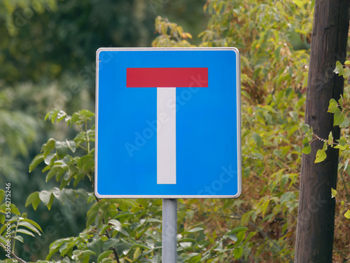 Close-up photo of a Dead end road sign on a metal pole with trees in the background