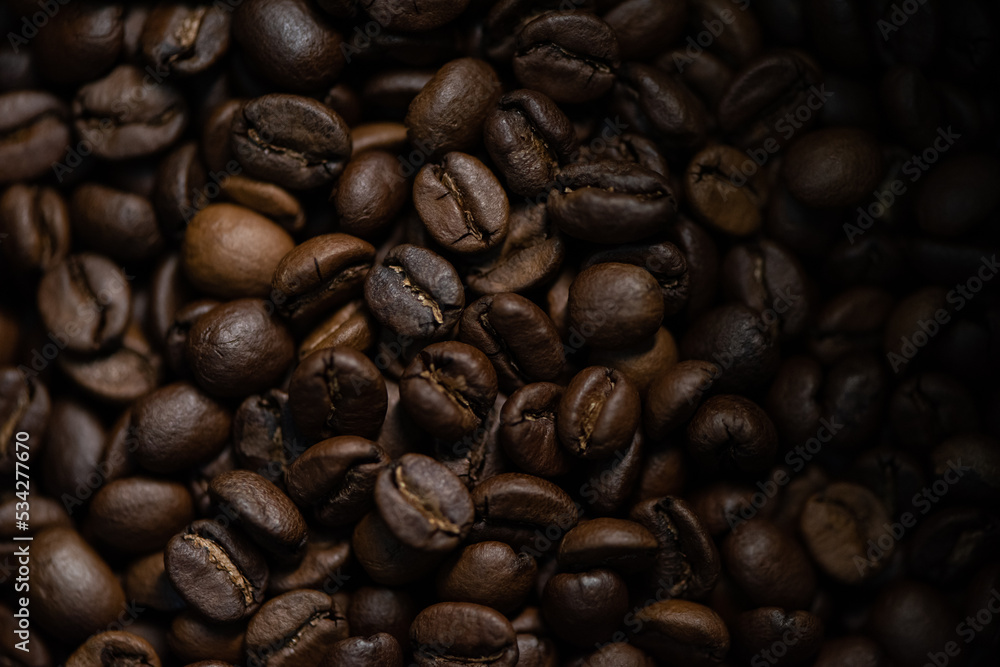 specialty coffee roasted specialty coffee roasted
