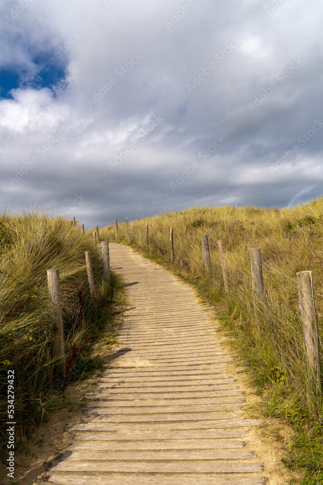 sandy wooden footpath leads through gentle sand dunes with grasses and reeds to the beach