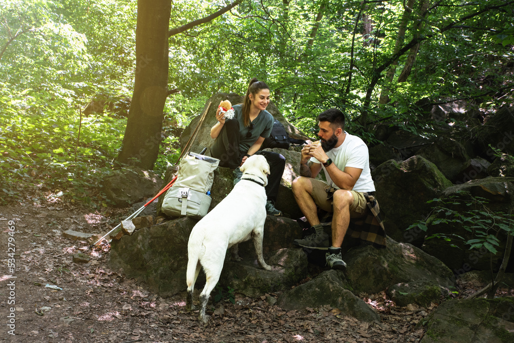 Fototapeta premium Young adventurer couple man and woman cant have children so they adopt young dog Labrador Retriever puppy and explore forest with him by walking in the nature.