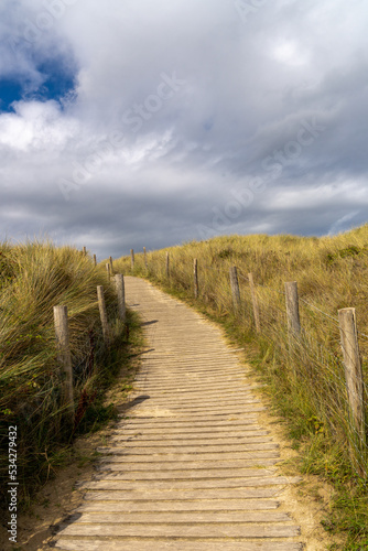 sandy wooden footpath leads through gentle sand dunes with grasses and reeds to the beach