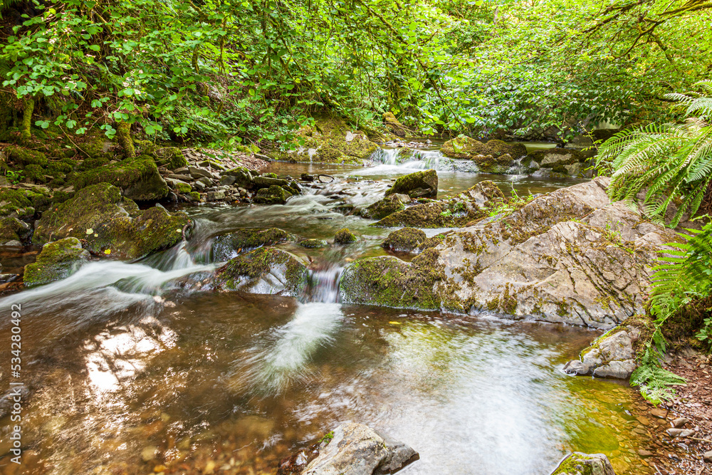 Horner Water flowing through Horner Wood NNR near Stoke Pero in Exmoor National Park, Somerset UK. 