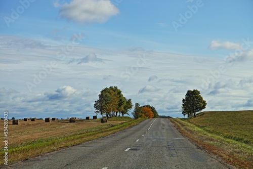 Country road in autumn aith blue cloudy sky beautiful landscape