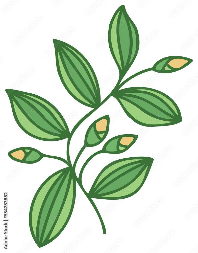 Plant illustration. Nature design element. PNG with transparent background.
