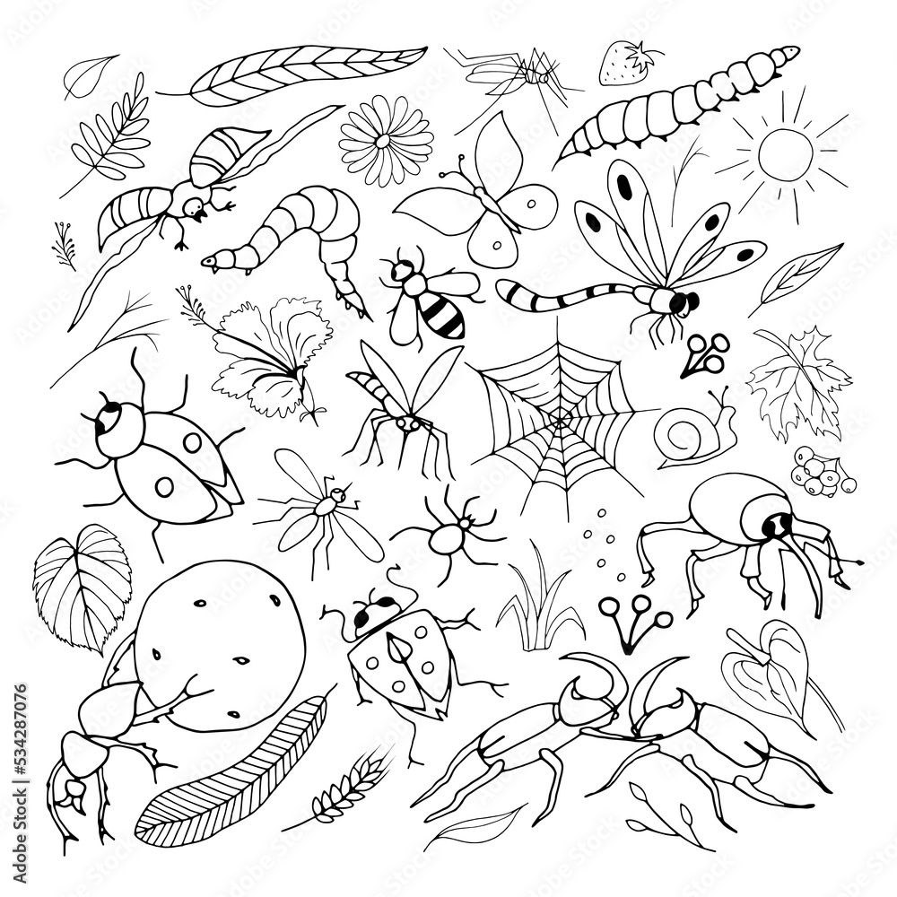 Fototapeta premium Set of Hand Drawn Insects Doodle Vector Illustration