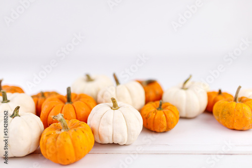 Autumn decoration on white with copy space. Fall, halloween, thanksgiving