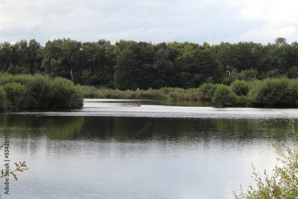 A landscape shot of a lake and a forest. Photo taken in Lancashire, England during the early autumn period. A landscape shot of a lake and a forest. Photo taken in Lancashire, England during the early autumn period.