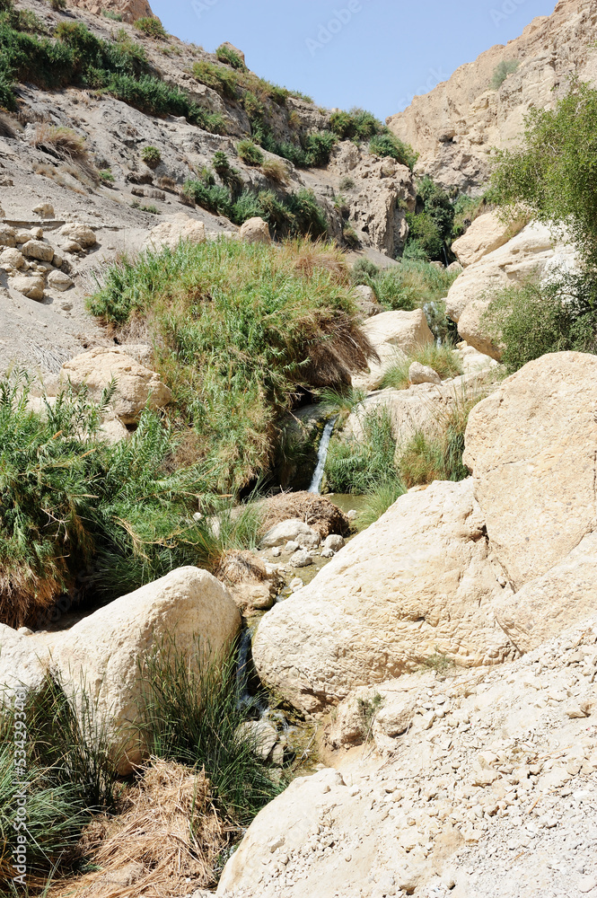 Streams and waterfalls Nature Reserve Ein Gedi Streams and waterfalls Nature Reserve Ein Gedi