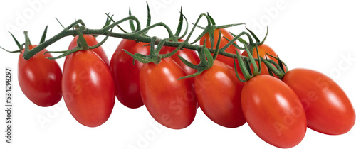 Tomato on branch © Miquel
