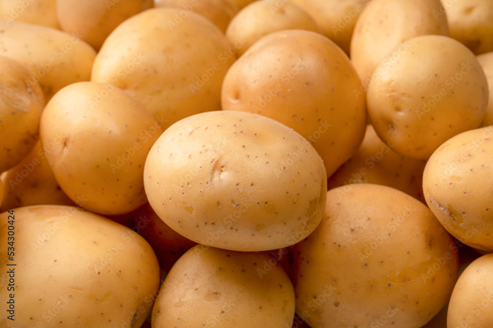 A group of fresh tasty potato as background. A group of fresh tasty potato as background.