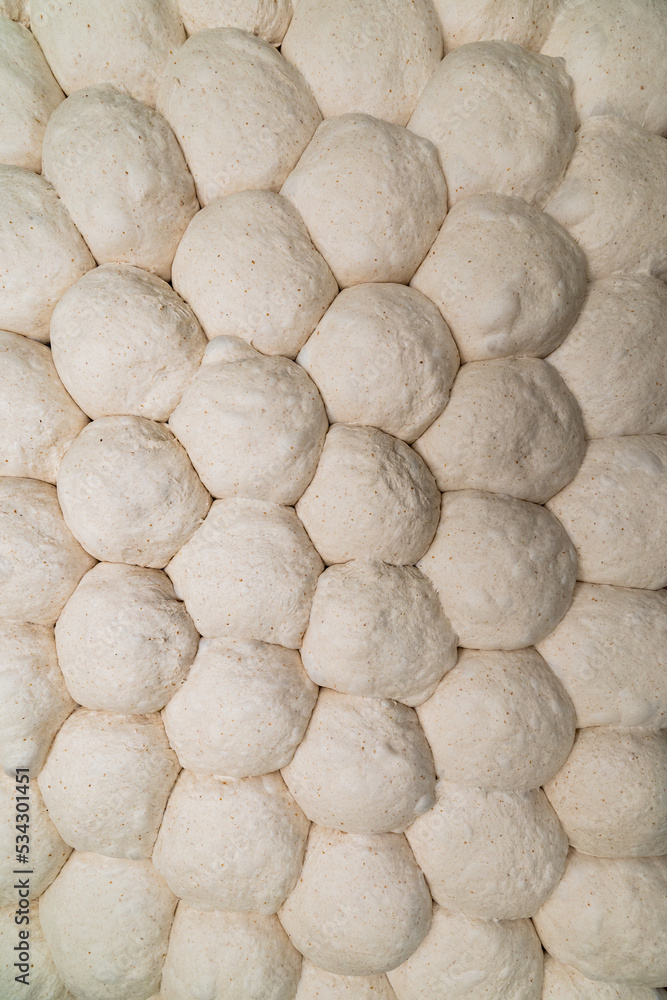 Fresh bread dough formed in loaves ready for the oven. Fresh bread dough formed in loaves ready for the oven.