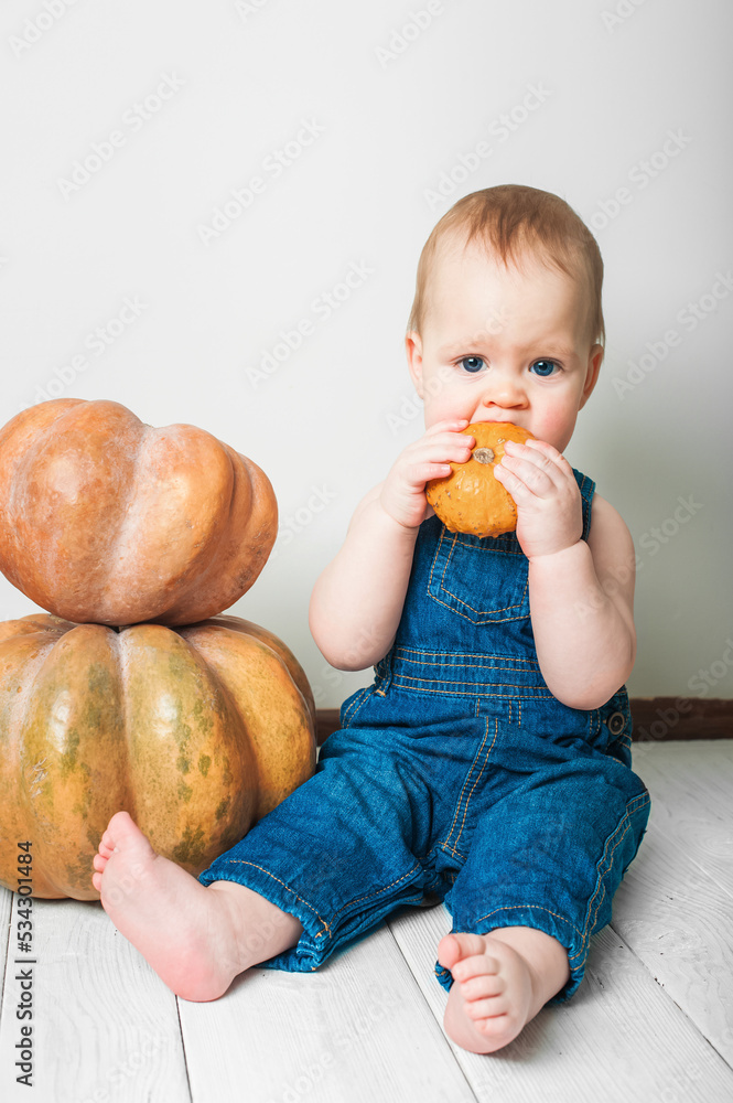 Handsome baby in denim overalls and pumpkin. Complementary feeding of children, first autumn of toddler, Halloween, food allergies.