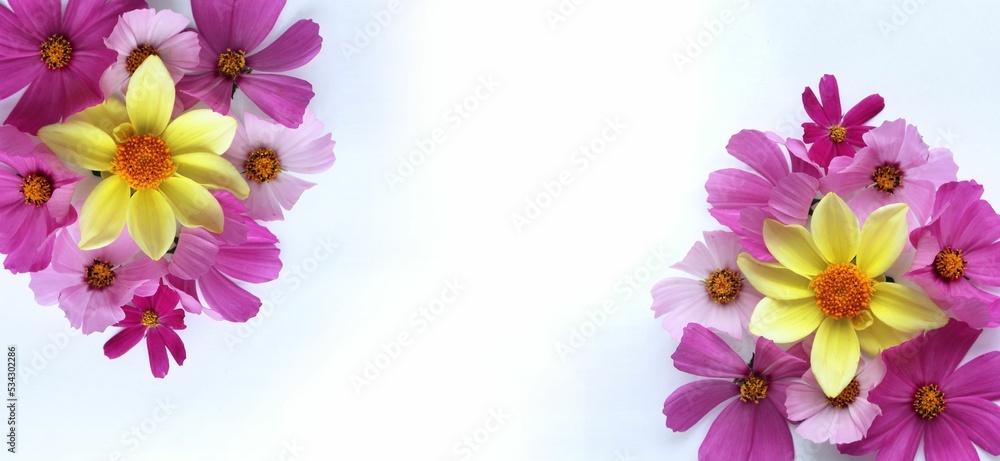 Pink flowers in a festive bouquet on a white background. Summer flower arrangement. Background for a greeting card.