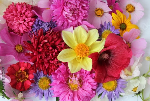 Red  pink and lilac asters in a festive bouquet on a white background. Summer flower arrangement. Background for a greeting card.