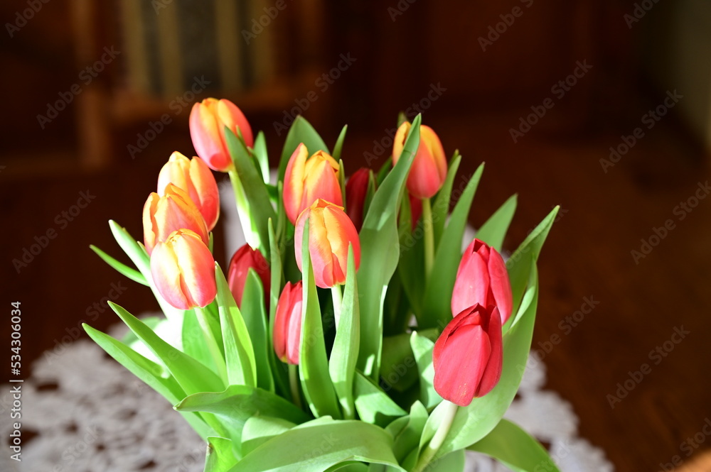 Naklejka premium fresh tulips in a vase , nature, tulipany, kwiaty, kwiaty w wazonie, Poland