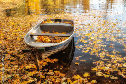 Golden Autumn